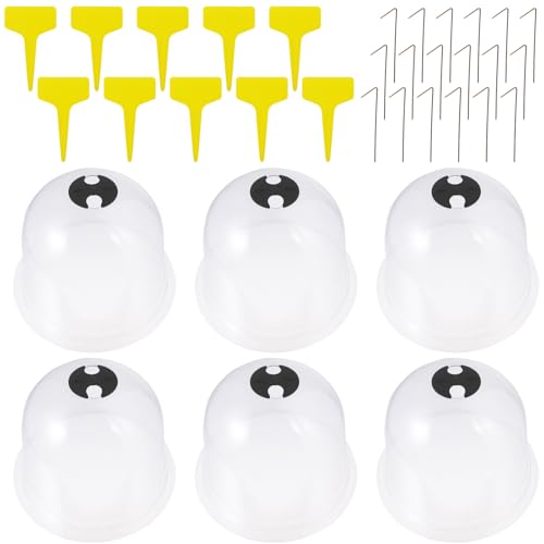 IWOWHERO 6 cۉ Ah[xJo[ ϋvf hh ێʕt Op K[fAx nʌŒp _J[