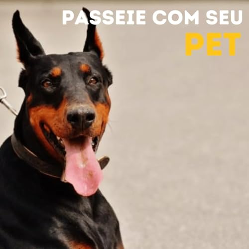 Coleira Com Guia Para Cachorro Pet Grande/médio Resistente (Preto)