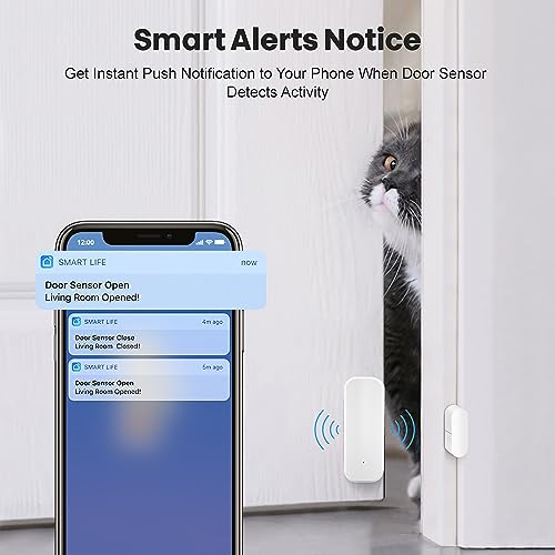 Smart WiFi Door & Window Sensor: App Alerts, No Hub Needed, Works with Alexa & Google Assistant