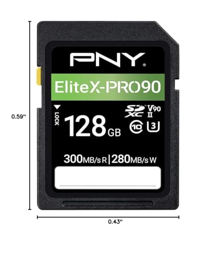 PNY EliteX-PRO90 V90