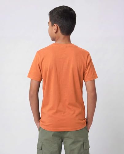 Image of 5 Pack Boys' Cotton T Shirts Crew Neck Plain Short Sleeve Tops Kids Teens | Available In Sizes 4-18,Tees, Youth, Athletic, Plain, School, Summer, Play, Sport, Casual, Soft, Breathable, Comfy, Multipack
