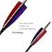 6PCS 600 Spine Pure Carbon Arrows with Real Turkey Feathers Removable 100 Grain Tips Plastic Nocks for Archery Target Hunting