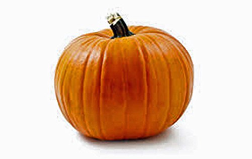 Pumpkin Seed, Mammoth Gold, Heirloom, Non Gmo 25+ Seeds, Large Pumpkins #TOP2