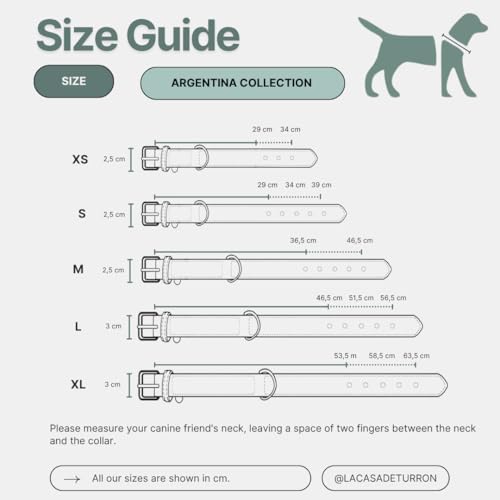 Robustes und luxuriöses Lederhalsband für elegante Hunde (Breite 2,5 cm – 3 cm) – Premium-Handwerkskunst, Größen XS-XL (36,5 – 46,5 cm, Bariloche Halsband)