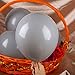 Hestya 100 Pieces 10 Inch Gray Balloons Latex Party Balloons Arch Garland Kit for Weddings, Bridal Shower, Graduation, Anniversary, Birthday Party Decoration