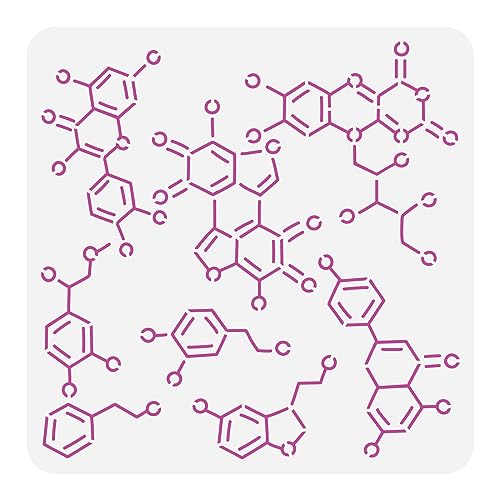 FINGERINSPIRE Chemical Structure Stencil for Painting 30x30cm Reusable Organic Chemistry Stencil Large Science Elements Drawing Template Daily Theme Stencil for Wood Canvas Fabric DIY Painting
