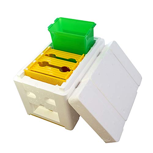 Bee Mating Hive,Queen Bee Rearing Beehive,Bee Rearing Mating Box,Mini Bee Hive,Beekeeping Bee Pollination Box,Mini Beehive,Beekeeper Supplies