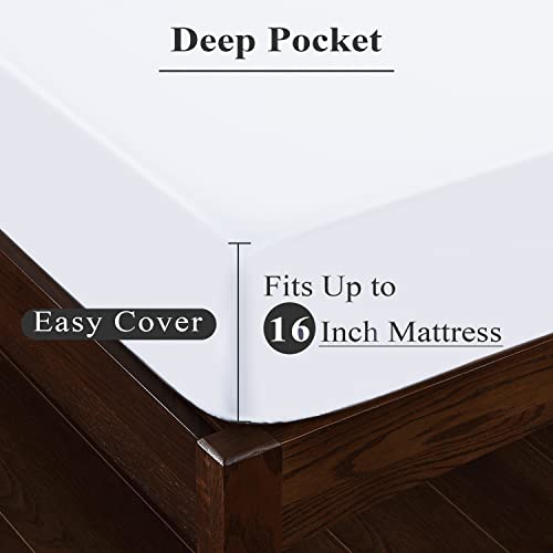 Fitted Sheet Twin Xl 2Pack Fitted Sheet For Adjustable Bed Split King, 600 Tc 16" Deep Pocket Egyptian Cotton Fitted Sheet (2, White) #TOP3