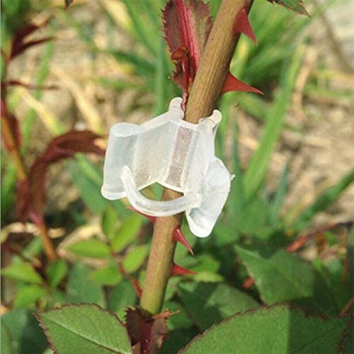 Siddhi Garden Plant Grafting Clip 4 to 6mm Grafting Clip White/Plant Straightener Clip/Garden Plants Seedling Tools Fruit Vegetable Grafting Clips Pack of (50) (B0BPGWRPLR) Amazon Price History, Amazon Price Tracker