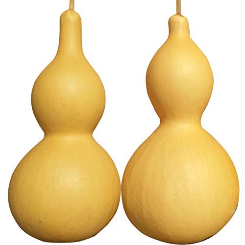 VibeX Heirloom Giant Bottle Gourd Seeds-50 Seeds (B0BBGNLJR7) Amazon Price History, Amazon Price Tracker