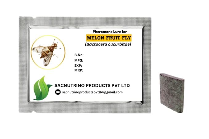 Melon Fruit Fly Pheromone Lure, Agricultural Pest Control, Bactocera Cucurbitae Pack of 5-image-33