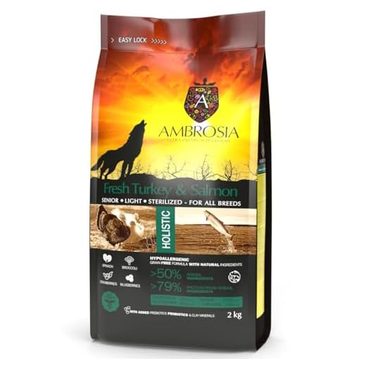 Senior Grain Free Dry Dog Food