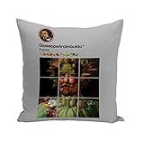 Fabulous Coussin 40x40 cm Arcimboldo Réseaux Sociaux Peintre Nature Morte