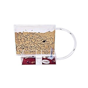 AntHouse – Natural Sand Ant Farm | Medium Kit (Sandwich + Forage Box)