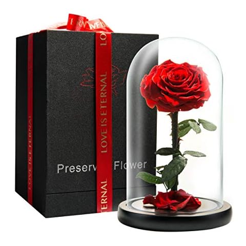 LOVAPPY Eternal Enchanted Forever Preserved Rose Cover