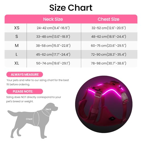 Light Up Dog Hundegeschirr Leuchtend LED Aufladbar - Leuchtgeschirr Leuchtend für Klein Mittelgroße Grosse Hund, Reflektierende Brustgeschirr Beleuchtetes Hundegeschirr, 4-Punkt Verstellbar,Rosa,S