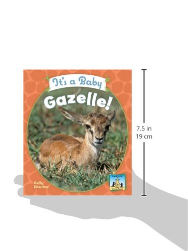 It's a Baby Gazelle! (Baby African Animals)