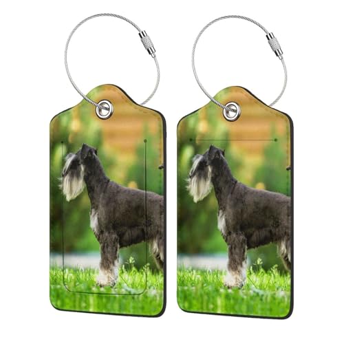 Étiquette bagage cuir Schnauzer chic avec boucle inox pour valise - 2