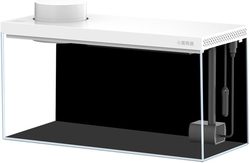 アクアリウム インテリア ウミウチワ 工作 造形 天然素材 塩抜き 海