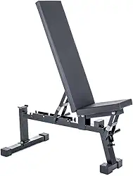 Banco Musculação Para Academia Regulável 120cm 300kg Fortshape Equipamentos Fitness