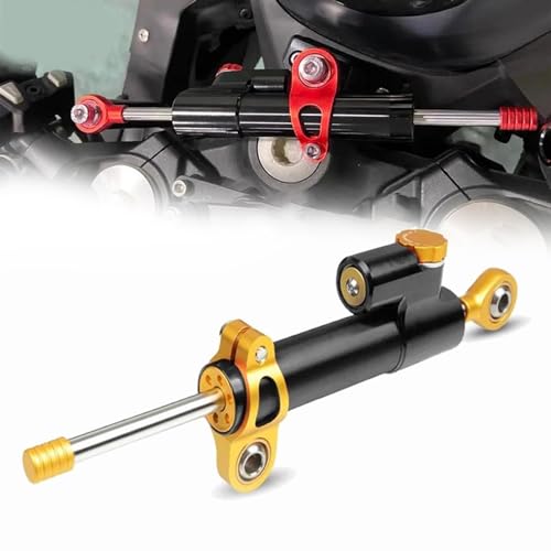Motorrad Einstellbare Lenkung Stabilisieren Dämpfer Montage Halterung Kit Für BMW F800R F800S F800ST F850GS Abenteuer G650GS K1200R
