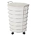 Honey-Can-Do HMP-02108 Steel Canvas Rolling Laundry Hamper, Chrome