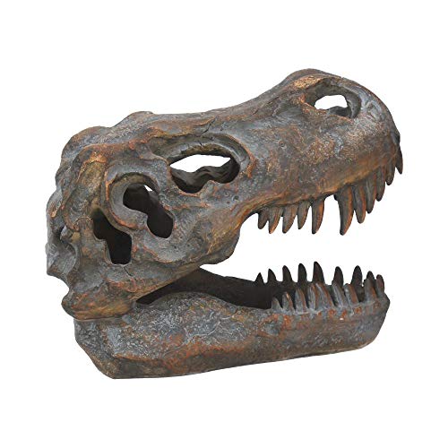 Nemesis Now Tyrannosaurus Rex Skull - Figura de Calavera, 18,5