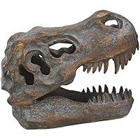 Nemesis Now Tyrannosaurus Rex Skull - Figura de Calavera, 18,5