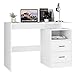 Scrivania per Computer,Scrittoio con 2 cassetti e 1 vano a Giorno in stile moderno,Scrivania da Ufficio,Tavolo Porta PC da Lavoro per ufficio, Soggiorno, studio Casa 108x48x76,5 cm (Bianco)