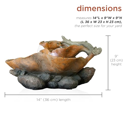 image for Alpine Corporation 9