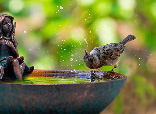 Blümelhuber Gartendeko Zauberhafte Schale mit sitzender Elfe - Garten - Futterschale Vögel