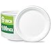 CantaGreen 9 inch Compostable Plates, 100 Count Heavyduty Sugarcane/Bagasse and Bamboo Fibre Biodegradable Disposable Paper Plate
