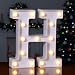 Foaky LED Letter Lights Sign 26 Alphabet Light Up Letters Sign for Night Light Wedding Birthday Party Battery Powered Christmas Lamp Home Bar Decoration (H)