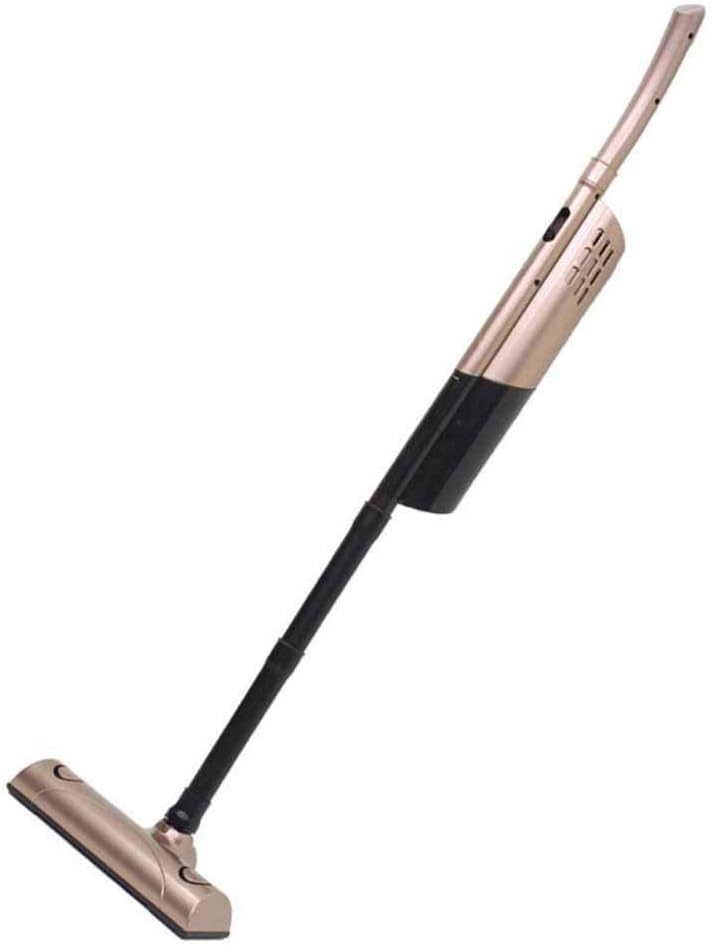 aspirapolvere a bastone portatile