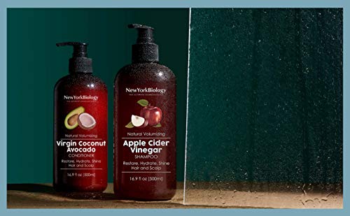 New York Biology Apple Cider Vinegar Shampoo - Helps Restore Shine, Hair Gloss And Hydration To Dry Hair And Itchy Scalp – Clarifying And Nourishing – Safe For All Hair Types - 16.9 Fl Oz #TOP4