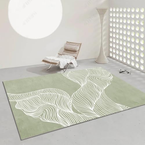 �uFrisence�v���O �J�[�y�b�g �􂦂� �̎╗ ����~�ߕt�� �h�� �h�� ���g�[�Ή� �z�b�g�J�[�y�b�g�� �}�C�N���t�@�C�o�[ ��z�R�� �i�`������ ����������� ���r���O �Q�� �a�� 120×160cm FRISY28-D57