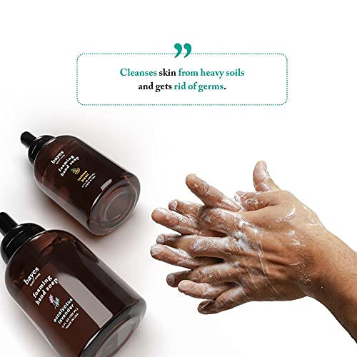 Foaming Hand Soap, Plant-Derived - Aromatic And Nourishing Hand Wash, Infused With Natural Essential Oils - Usda Certified Biobased - 12 Ounce, Lavender #TOP3