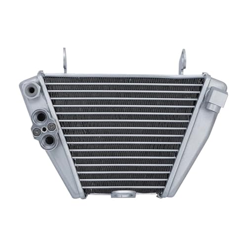 Refroidisseur radiateur moto aluminium anti surchauffe pour Ducati XDiavel 1260 S