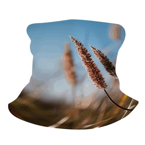 Balaclava para cuello y cara transpirable, cortavientos y protector contra el polvo, ideal para otoño, verano y actividades al aire libre, para hombre y mujer miniatura 2