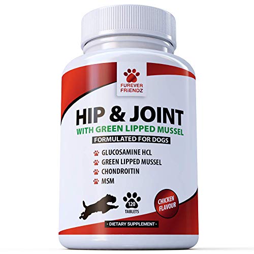 healthspan glucosamine for dogs