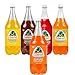 Jarritos Variety Collection Mexican Soft Soda Drink Flavors May Vary 1.5 Lt Plastic Bottles 5-Pack + 15 Sugarcane Disposable Straws by KOOL8SHOP Infinite Deals