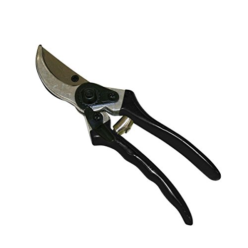 Preisvergleich Produktbild Xclou Bypass Gartenschere 210 mm