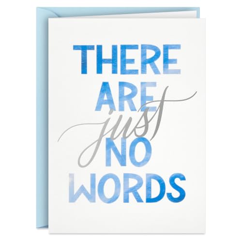 Hallmark Bulk Blank Sympathy Cards with Envelopes, 20-Pack (Just No Words)