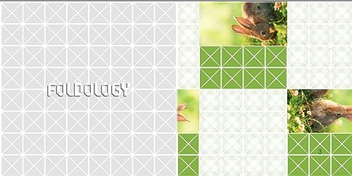 Foldology – Das Origami-Rätselspiel: 100 einzigartige Falträtsel für helle Köpfe und geschickte Hände Jung und Alt!