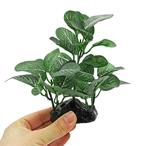 Naoedeah Silk Aquarium Plants For Betta Fish Reptile Terrarium 3 Pcs Plastic Floating Fake Fish Tank Plant Decorations Accessories Small Artificial Underwater Aquatic Water Grass #TOP4