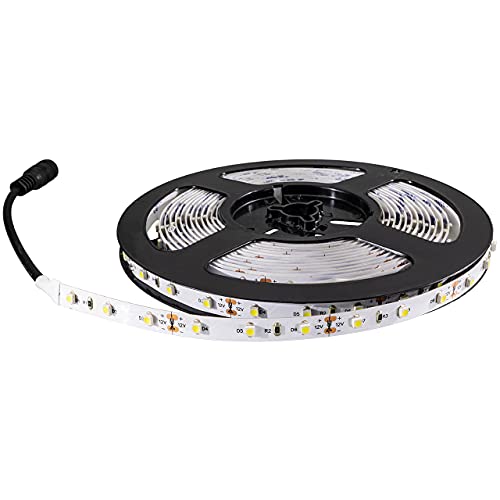 Tira de LED Blanco Frío 12V SMD 3528 5m Interior miniatura 2