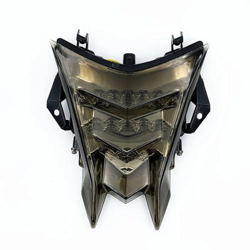 Feu arrière LED pour S1000RR 2010-2018 avec clignotants intégrés