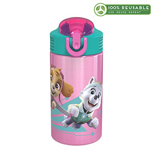 Image of Zak Designs 18 /8 Stainless Steel Kids Water Bottle with Flip-up Straw Locking Spout Cover, Durable Cup for Sports or Travel (15.5oz, Paw Patrol Skye),PWPT-S732