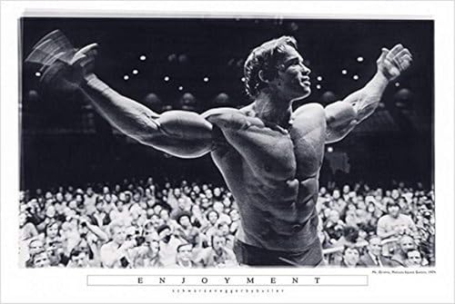 BUY ART FOR LESS Officially Licensed Enjoyment - Arnold Schwarzenegger Art Poster - 36 x 24 Inch - Decorative Print - Poster Paper - Ready to Frame