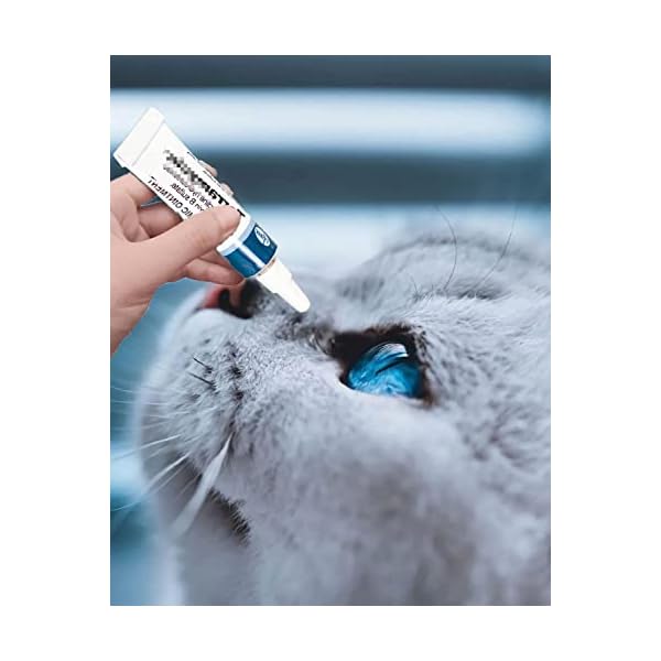 Pet-Eye-HealthDogCatCattleSheepHorse35g0125oz Pet Eye Health Supplement - Nourish and Enhance Vision for Pets